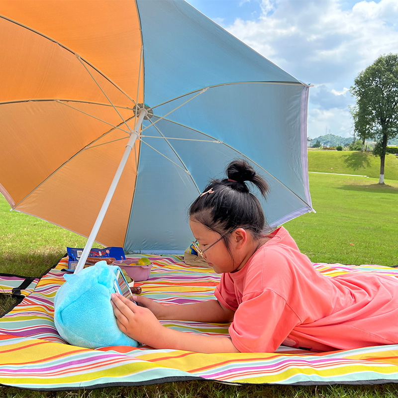 Picnic mat